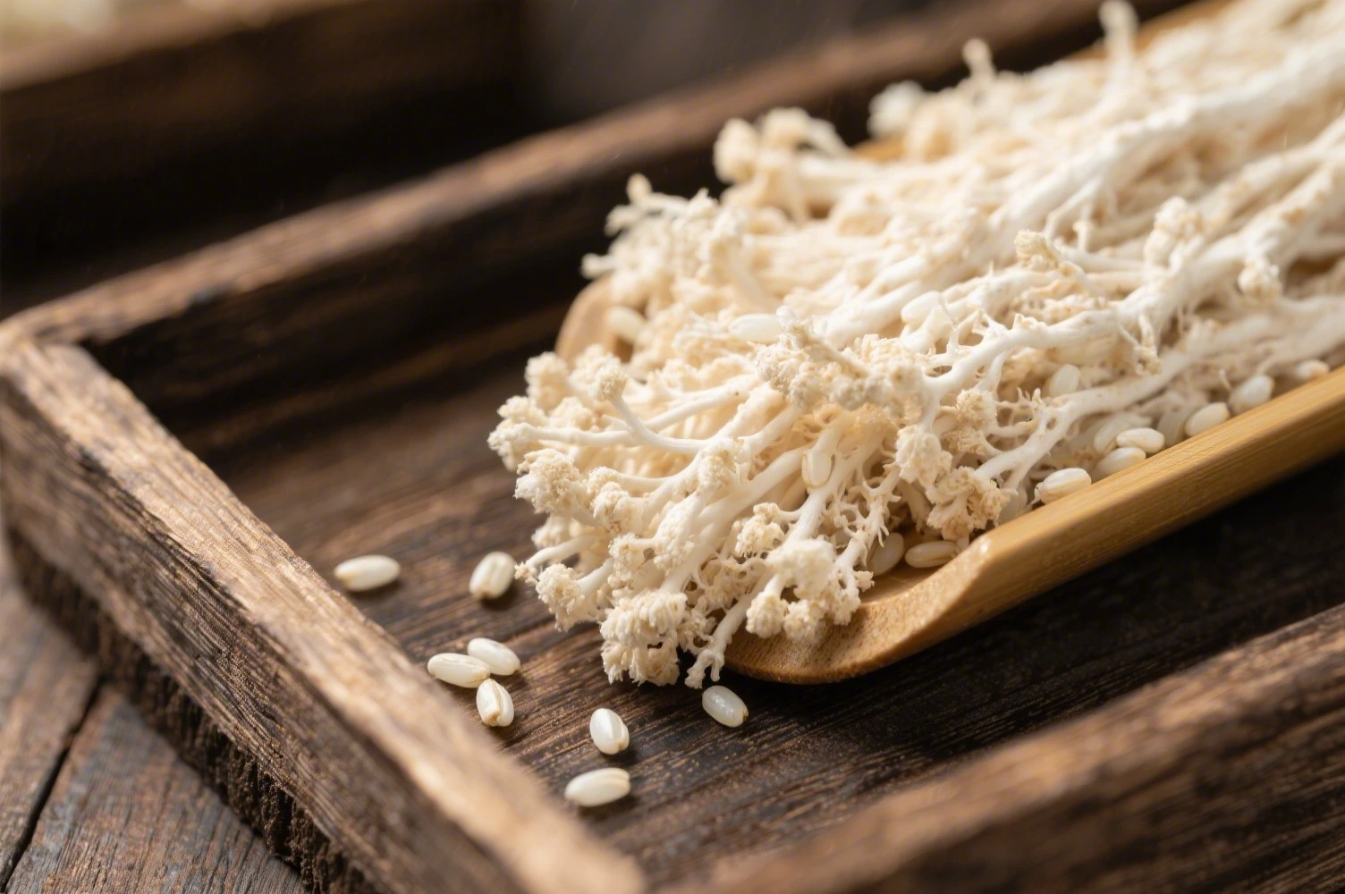 Koji — riz inoculé avec Aspergillus oryzae