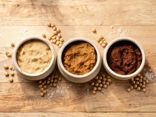 Miso artisanal france