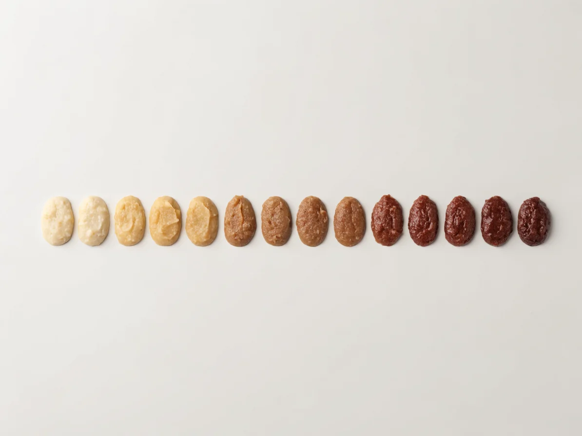 Nuancier de plusieurs types de miso alignés, du plus clair au plus foncé
